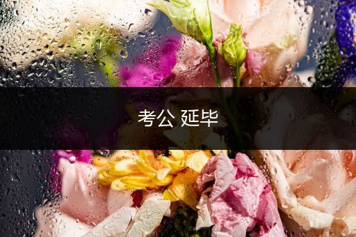 考公 延毕