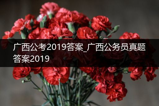 广西公考2019答案_广西公务员真题答案2019