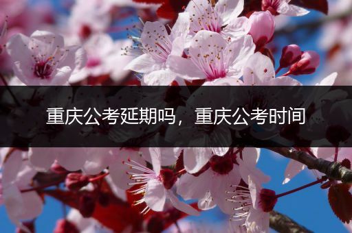 重庆公考延期吗，重庆公考时间