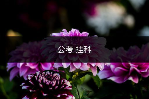 公考 挂科