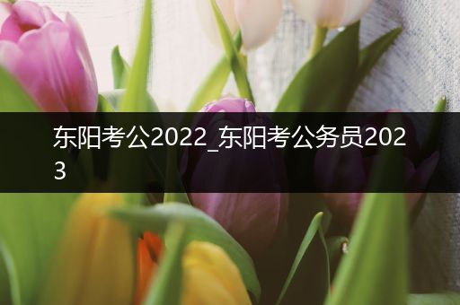 东阳考公2022_东阳考公务员2023