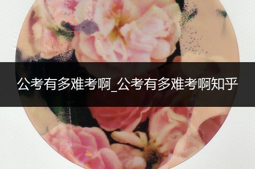 公考有多难考啊_公考有多难考啊知乎