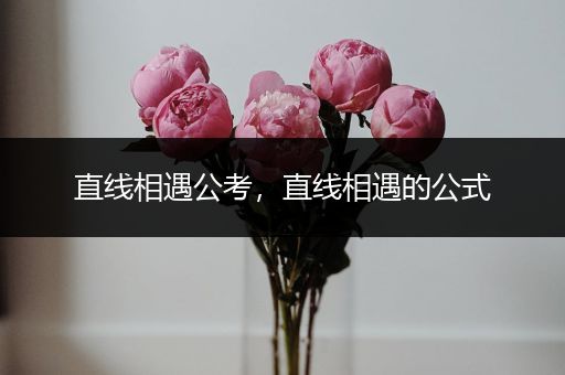 直线相遇公考，直线相遇的公式