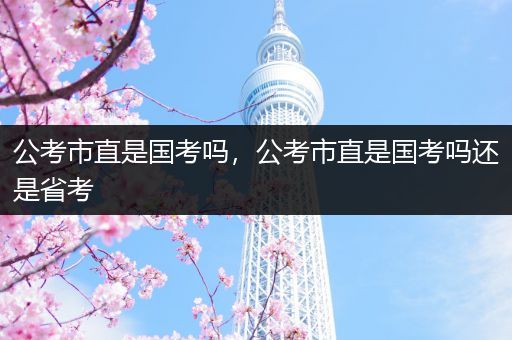 公考市直是国考吗，公考市直是国考吗还是省考