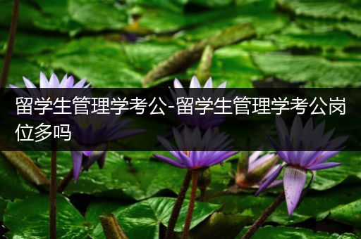 留学生管理学考公-留学生管理学考公岗位多吗