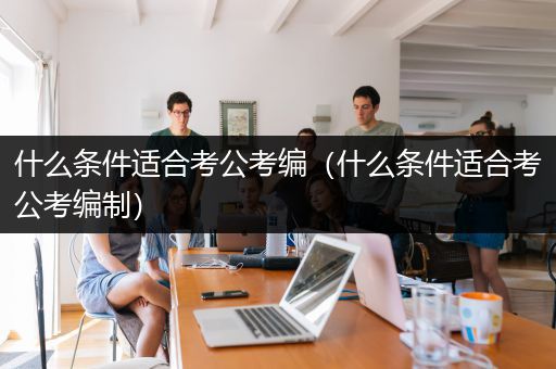 什么条件适合考公考编（什么条件适合考公考编制）