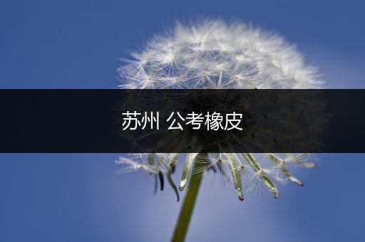 苏州 公考橡皮