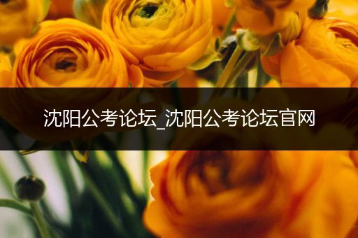 沈阳公考论坛_沈阳公考论坛官网