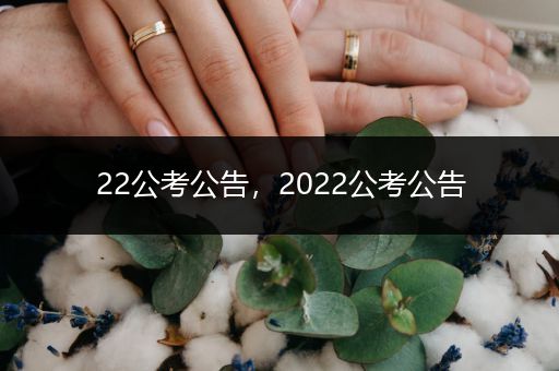 22公考公告，2022公考公告