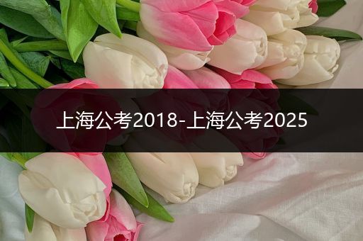 上海公考2018-上海公考2025