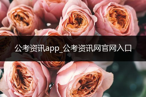 公考资讯app_公考资讯网官网入口