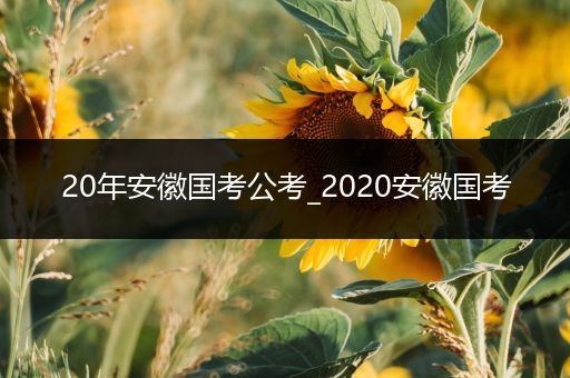 20年安徽国考公考_2020安徽国考