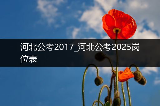 河北公考2017_河北公考2025岗位表