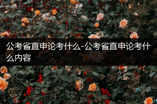 公考省直申论考什么-公考省直申论考什么内容