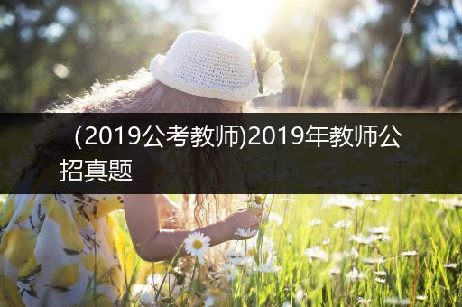 （2019公考教师)2019年教师公招真题