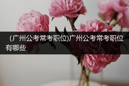 （广州公考常考职位)广州公考常考职位有哪些