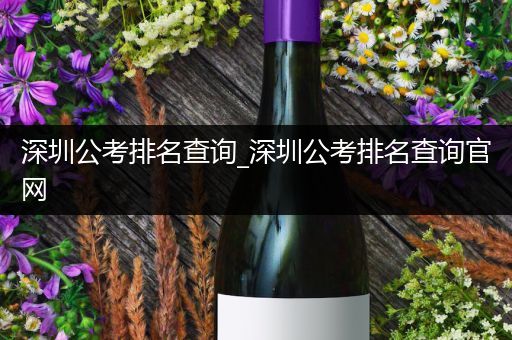 深圳公考排名查询_深圳公考排名查询官网