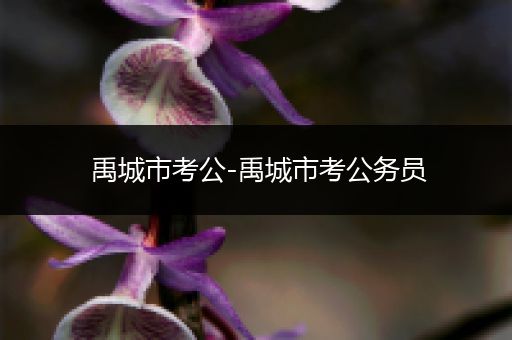 禹城市考公-禹城市考公务员
