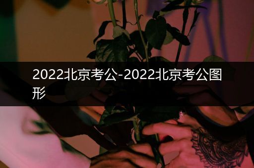 2022北京考公-2022北京考公图形