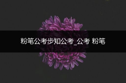 粉笔公考步知公考_公考 粉笔