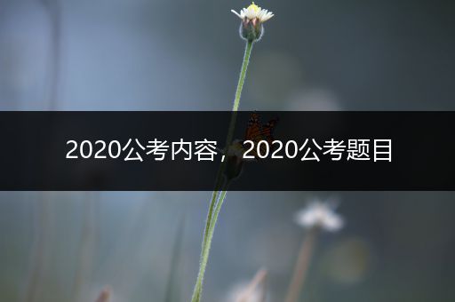 2020公考内容，2020公考题目