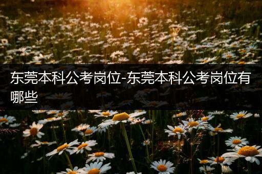 东莞本科公考岗位-东莞本科公考岗位有哪些