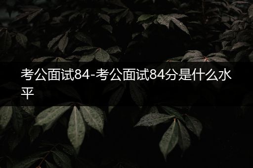 考公面试84-考公面试84分是什么水平