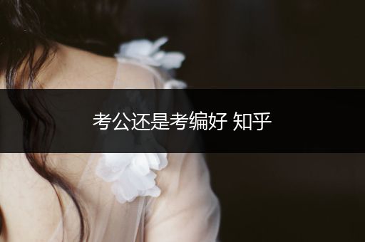 考公还是考编好 知乎