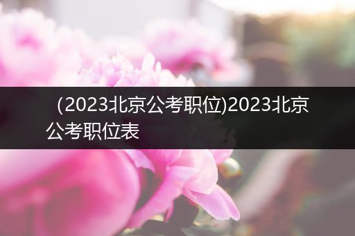 （2023北京公考职位)2023北京公考职位表
