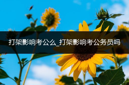 打架影响考公么_打架影响考公务员吗