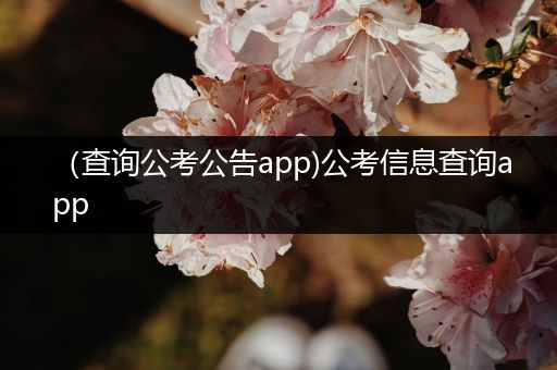（查询公考公告app)公考信息查询app