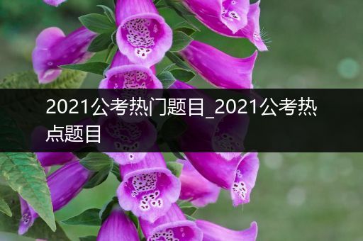 2021公考热门题目_2021公考热点题目