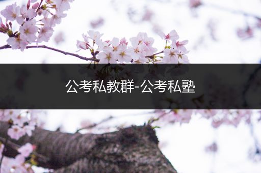 公考私教群-公考私塾