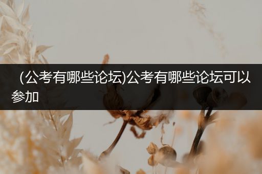（公考有哪些论坛)公考有哪些论坛可以参加
