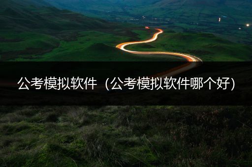 公考模拟软件（公考模拟软件哪个好）