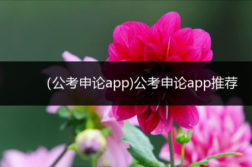 （公考申论app)公考申论app推荐