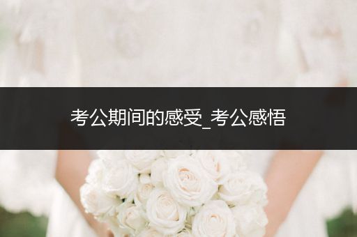 考公期间的感受_考公感悟