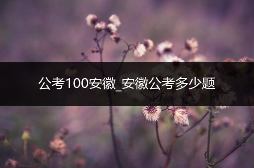 公考100安徽_安徽公考多少题