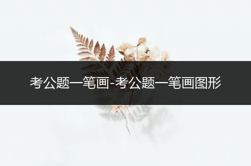 考公题一笔画-考公题一笔画图形