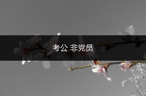 考公 非党员