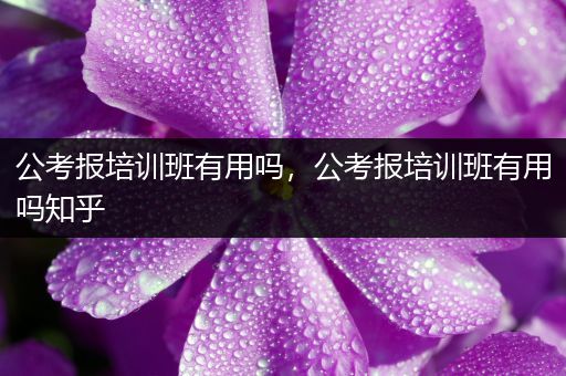 公考报培训班有用吗，公考报培训班有用吗知乎