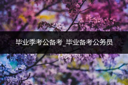 毕业季考公备考_毕业备考公务员