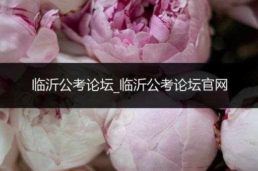 临沂公考论坛_临沂公考论坛官网
