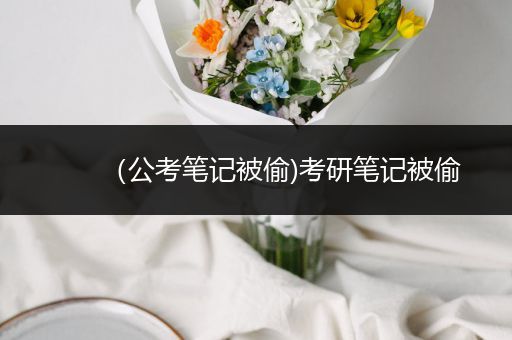 （公考笔记被偷)考研笔记被偷