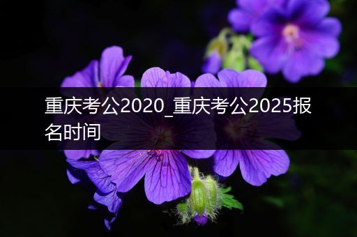 重庆考公2020_重庆考公2025报名时间