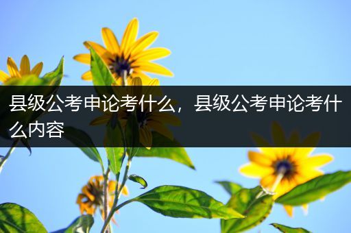 县级公考申论考什么，县级公考申论考什么内容