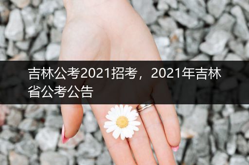 吉林公考2021招考，2021年吉林省公考公告