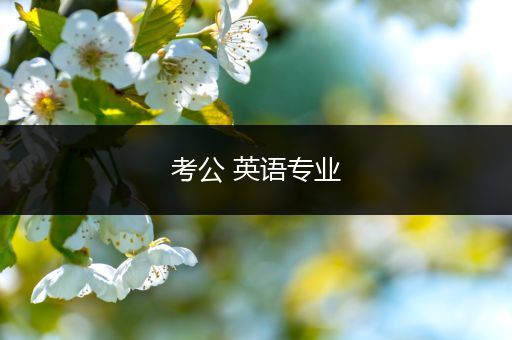 考公 英语专业