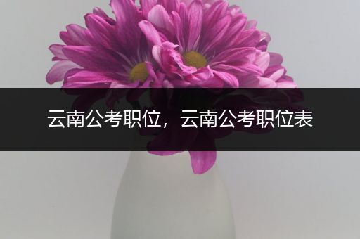 云南公考职位，云南公考职位表