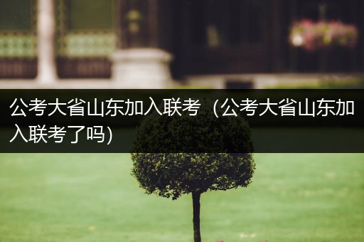 公考大省山东加入联考（公考大省山东加入联考了吗）